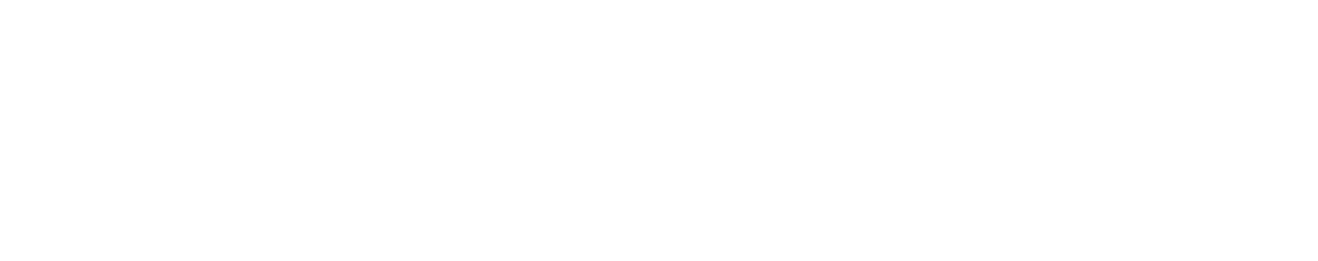 Total Home WiFi